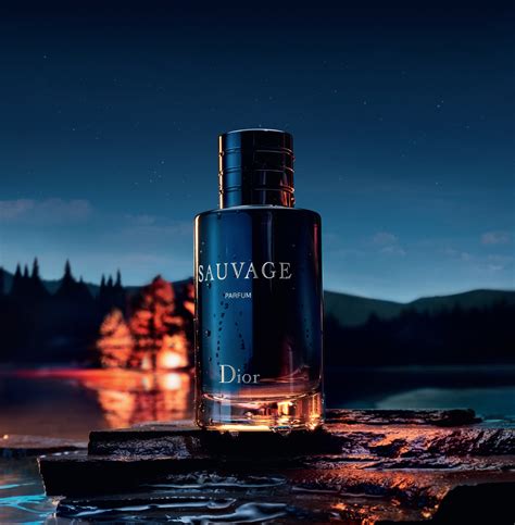 dior homme parfum sauvage